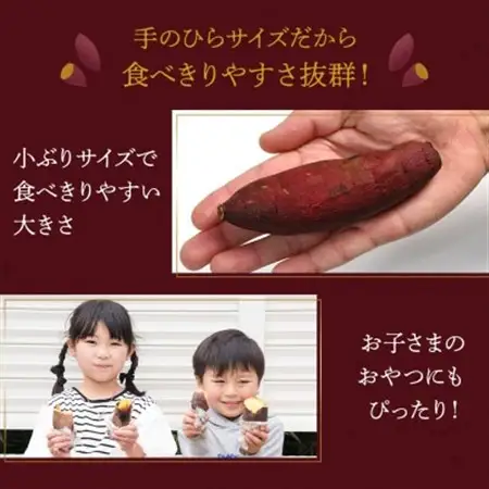 冷凍焼き芋 1kg(500g×2袋)_野菜 さつまいも いも サツマイモ 薩摩芋_【配送不可地域：離島】【1596180】