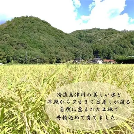 令和7年産　吉賀町広石産コシヒカリ　清流高津川のお米　精米5kg【1596753】