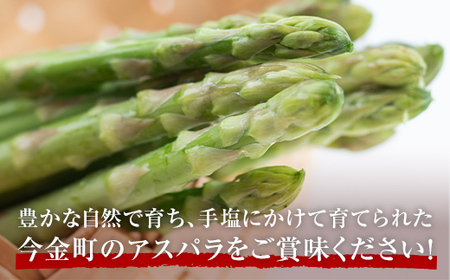 朝採れ新鮮アスパラ 1.5kg（2Lサイズ） (2026年3月下旬~6月中旬または2026年7月上旬~9月上旬頃発送)  野菜 秀品 北海道産 バーベキュー BBQ キャンプ 旬野菜 アスパラガス 栄養満点 冷蔵発送 F21W-456