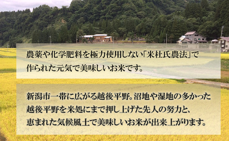 令和7年産 新潟米杜氏コシヒカリ5kg