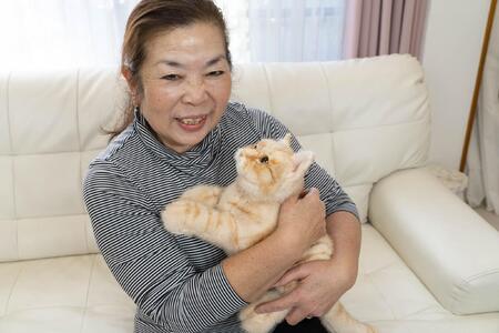 川崎市のロボットメーカーが作る、シニア向けペットの代理ロボット！なでなでねこちゃんEXシリーズ　（とら）