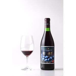 酒 ワイン ブルーベリーワイン 紫泉郷（しせんきょう） 6本 （ 720ml × 6 )