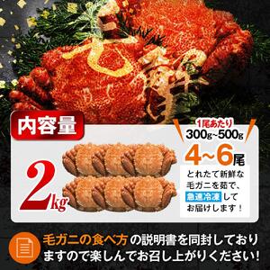 【先行予約/2026年4月発送開始】ボイル冷凍毛ガニ　２kg　300g～500g　4～6尾｜毛ガニ　羅臼