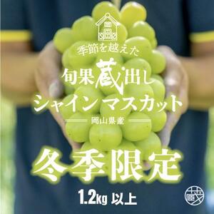 【旬果蔵出し】岡山県産 シャインマスカット 1.2kg以上（2～3房）＜2026年12月上旬～2027年1月中旬発送＞ ｜ シャインマスカット