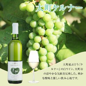 酒 ワイン 白ワイン ケルナー 大町産 1本 × 720ml | 長野 信州