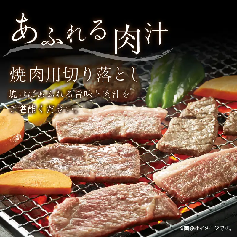 京都産和牛 焼肉用切り落とし 約450ｇ 【京都モリタ屋】 焼肉 
