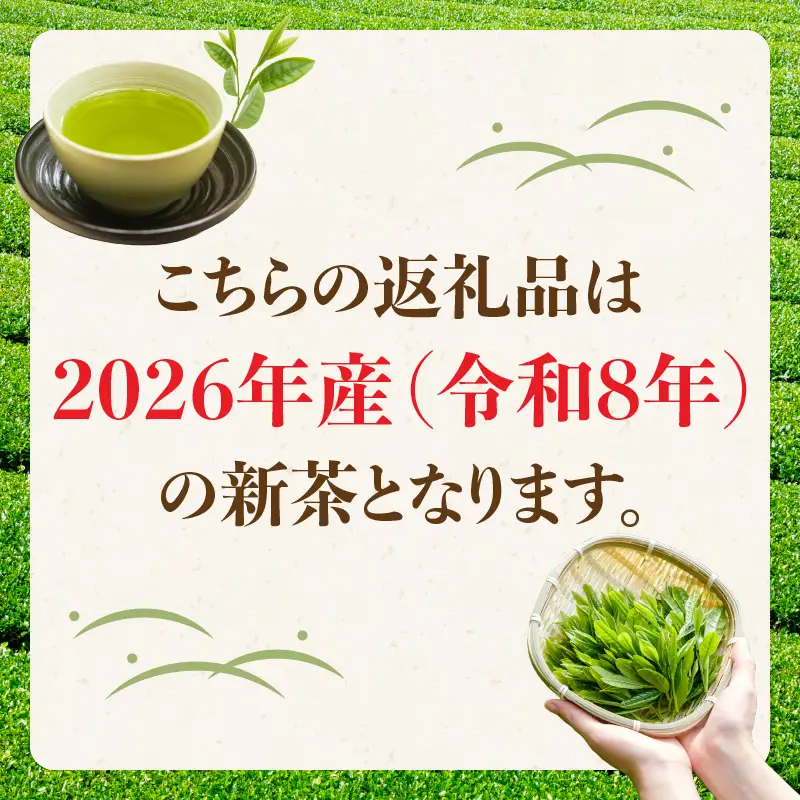 【2026年新茶】八女茶 特上煎茶 100g×5袋 茶 お茶 日本茶 緑茶 八女茶 新茶 福岡県 八女市 068-025