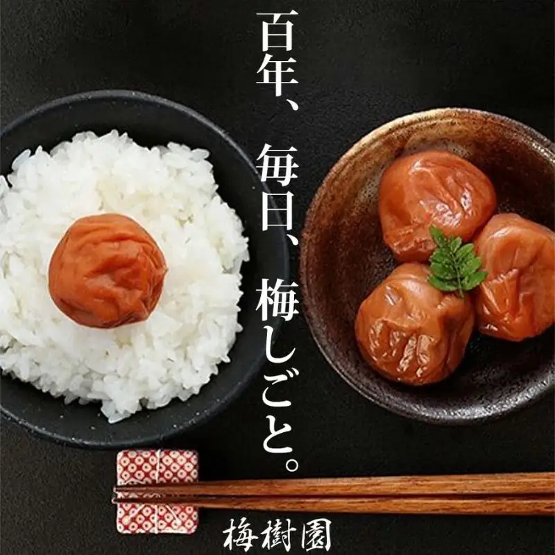 種なし干し梅60g×6袋(はちみつ入) 紀州南高梅 和歌山県産baijuen003B【baijuen003B】