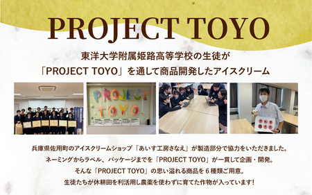 PROJECT TOYO アイスクリーム 6個 セット 東洋大学附属姫路高等学校