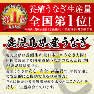鹿児島県産 うなぎ蒲焼 特大 サイズ 5尾（約220g×5・計約1100g）【薩摩川内鰻】 i1078-C