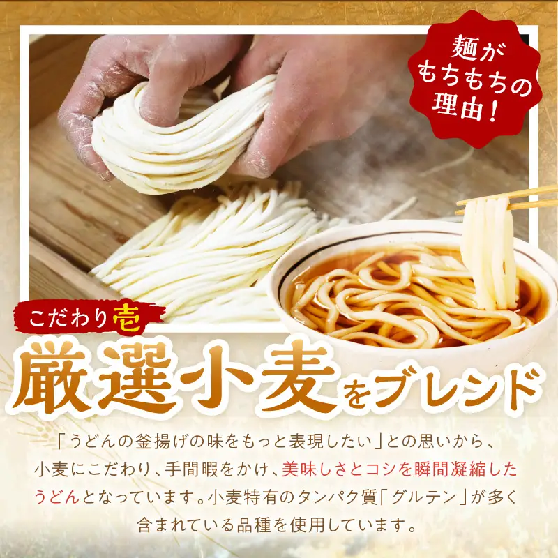 【もちもち】冷凍うどん10玉入（濃縮出汁付き）_KI00035_うどん