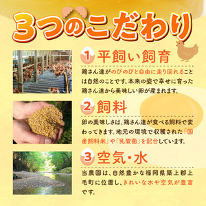 平飼い卵 なちゅら 60個 _KJF0206