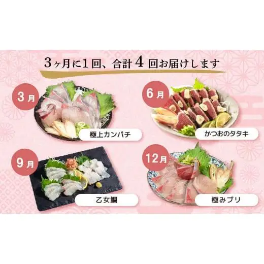 【 刺身 】 刺身定期便 4回