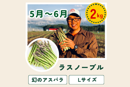 野菜セット 4回 定期便  旬な野菜 新鮮 白樺(大) 美瑛の四季【令和8年産予約受付】 
