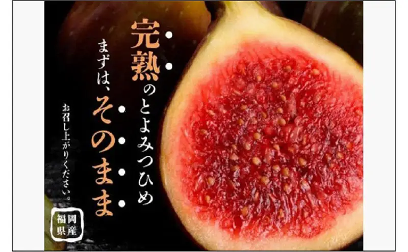 ＜2026年8月以降発送＞とよみつひめ ４パック約1200gセット（福岡市） | フルーツ 果物 くだもの 食品 人気 おすすめ 送料無料