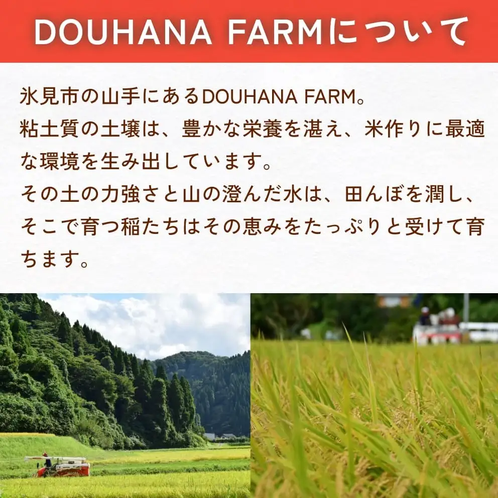 米 令和7年産 富山県氷見産 コシヒカリ 白米 10kg
