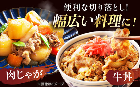 【全12回定期便】国産和牛切落し 500ｇ[AOAI052]切り落とし