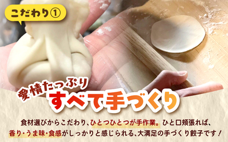 【モチッ！じゅわ～！手作り餃子】冷凍生餃子　水餃子 30個 【点心屋台くまや】[QG02]