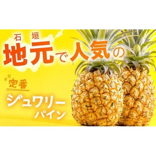 パイナップル 【先行予約】ジュワリーパイン1ｋｇ（1～2玉）　KN-1