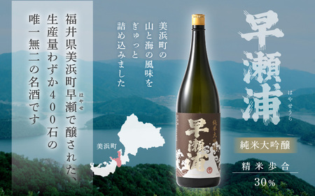 早瀬浦 限定品【数量限定】冷温熟成 早瀬浦 純米大吟醸 1800ml（熟成酒）【入手困難 日本酒 福井 おすすめ 地酒 美浜 早瀬 フルーティ 男酒 硬水 ミネラル 希少 ギフト プレゼント 贈答 山田錦 美味しい お酒 酒 さけ アルコール ご褒美 家飲み 就職祝い 転職祝い ハレの日 敬老の日 プレゼント】 [m16-i001]