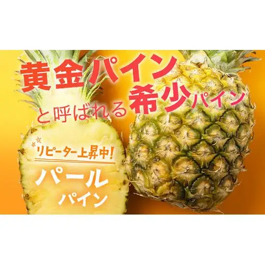 パイナップル 【先行予約】パールパイン1ｋｇ（1～2玉）　KN-2