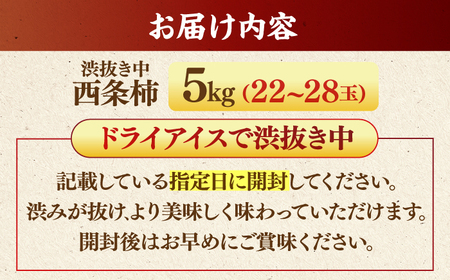 フルーツ 【先行予約】【10個限定】【優品】 とろ?り甘さの極み！合わせ柿 5kg 島根県松江市/マルカミ農縁株式会社 [ALCM013] フルーツ フルーツ
