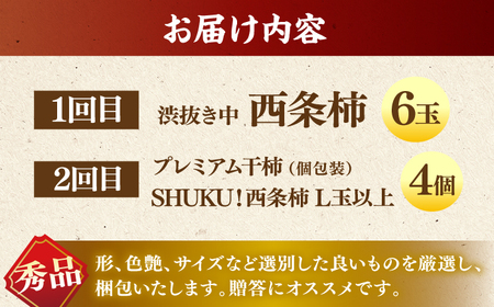 フルーツ 【先行予約】【10個限定】【全2回定期便】柿の贅沢セット！ 合わせ柿6玉 プレミアム干し柿SHUKU  L玉以上4玉   島根県松江市/マルカミ農縁株式会社 [ALCM017] フルーツ フルーツ
