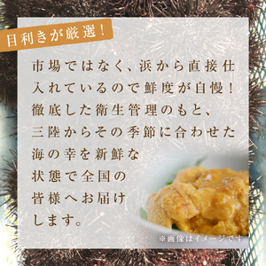 生うに ウニ 訳あり 塩水生うに 宮城県産  160g（80g×2） 生ウニ 生雲丹 うに 雲丹 塩水うに 塩水ウニ 塩水雲丹 冷蔵 期間限定 数量限定