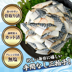 ＜生活応援！塩サバフィーレ付き＞＜訳あり＞骨取り無塩 さば切身(21切れ) 小分け  骨なし  魚  冷凍  【AW-50】【丸正水産】