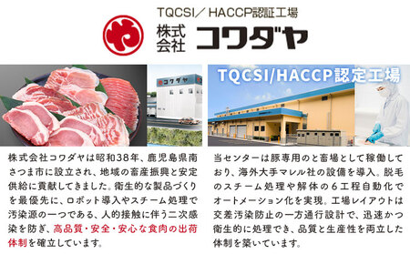 ＜訳あり＞鹿児島県産 豚 切り落とし【6ヶ月定期便】500g×5パック 計15kg 株式会社 コワダヤ《お申し込み翌月から出荷》鹿児島県 さつま町 豚 ブタ肉 切り落とし