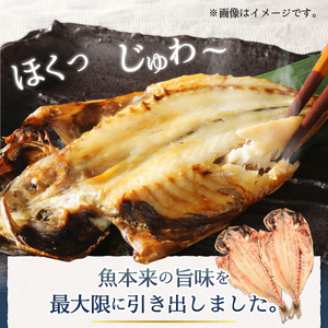 ＜下田湊マリンプロダクツ＞＜規格品　下田加工＞【特上】真あじ干物 　12枚入