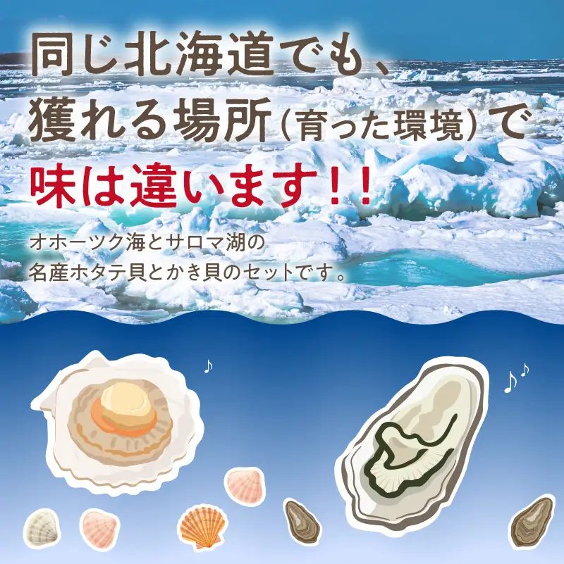 【予約：2026年11月中旬から順次発送】活ホタテ貝 大 10枚・活牡蠣 2年物 10個 ( 海鮮 魚介 貝 帆立 ほたて ホタテ カキ かき 牡蠣 セット BBQ )【114-0046-2026】