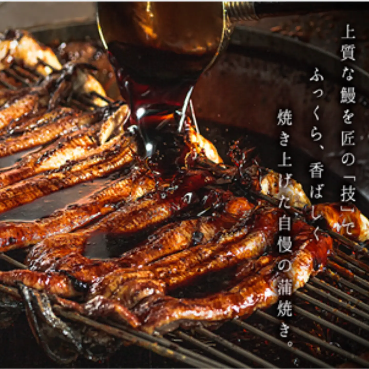 「本庄うなぎ屋」の国産鰻の蒲焼 2尾（2～3人前）：B335-018