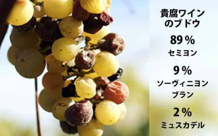 FD182 福智山ダム熟成 高級 貴腐ワイン白 シャトー リューセック 2022年 750ml×1本 熟成ワイン ワイン 酒 お酒