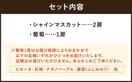 【先行予約受付】 ぶどう食べ比べセット！ シャインマスカット2房、葡萄1房 計3房【2026年8月上旬～8月下旬迄発送予定】 ／ 葡萄 ぶどう ブドウ シャインマスカット マスカット ピオーネ 巨峰 ナガノパープル 藤稔 ふじみのり 果物 フルーツ 季節の果物 食べ比べ セット 詰め合わせ 詰合せ 長崎県産 長崎市産 長崎県 長崎市 冷蔵