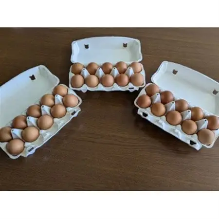 【発送月固定定期便】平飼い卵なちゅら(30ヶ入り)全12回_卵・乳製品 卵  たまご タマゴ 玉子  定期便 定期便  _【配送不可地域：離島】【4064958】