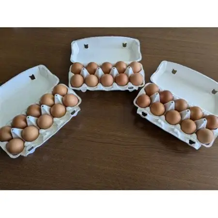 【発送月固定定期便】平飼い卵なちゅら(30ヶ入り)全6回_卵・乳製品 卵  たまご タマゴ 玉子  定期便 定期便  _【配送不可地域：離島】【4064959】