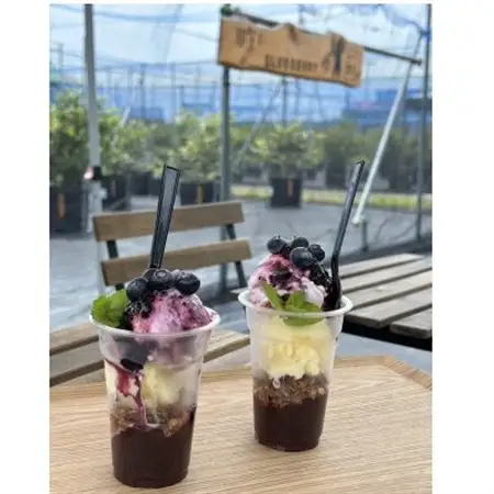みき農園のとびきり!ブルーベリーパフェ体験セット_惣菜・加工品   _【1588061】