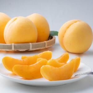 2026年  ご家庭用　岡山県産　黄金 桃 1.5kg（5～6玉） ｜ 桃