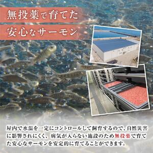 【数量限定】スモークサーモン とっとり 琴浦 グラン サーモン 500g