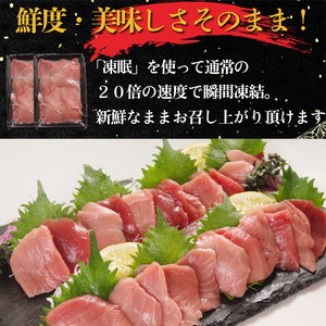 天然本マグロ セット 1kg(100g×10P） まぐろ ネギトロ