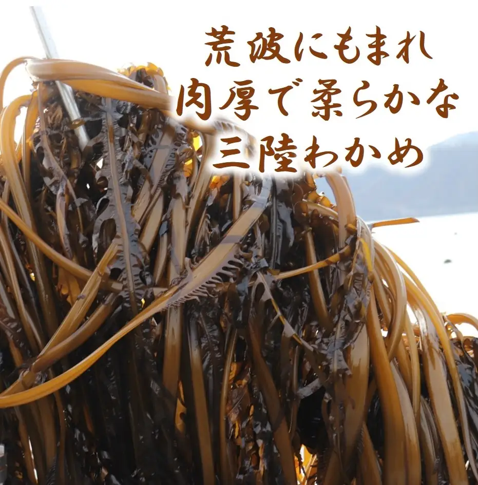 三陸水産 カットわかめ 50g×2袋 乾燥 三陸 国産 ワカメ 若芽 わかめスープ等にどうぞ