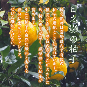 柚子マドレーヌ(30g×6個) おやつ ゆず 柚子 スイーツ 個包装 洋菓子 お菓子 お茶菓子 お茶請け 手土産 【TT009】【一般社団法人ツーリズム高千穂郷】