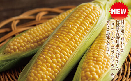とうもろこし サニーショコラライラ 5kg 先行予約 【 とうもろこし 】 