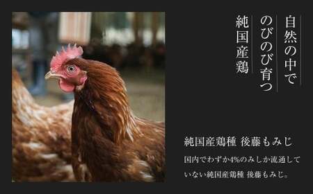 平飼い有精卵30個【全6回定期便】｜毎月届く卵・放し飼い（西粟倉村）【配送不可地域：沖縄・離島】t-SS-CnDA
