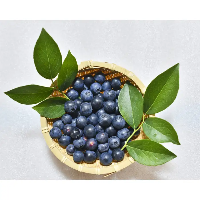 No.488 農薬不使用で育てた新鮮つくしベリー！　産地直送　約800g