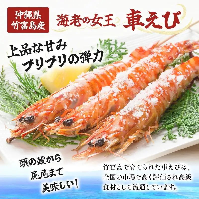 訳あり 冷凍車えび 規格外品 3kg