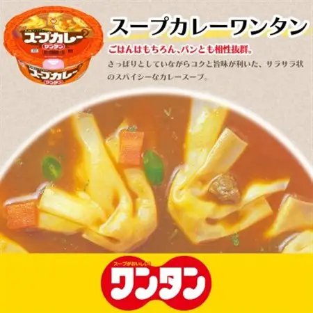 スープカレー　ワンタン　12食_惣菜・加工品 スープ  _【1579865】