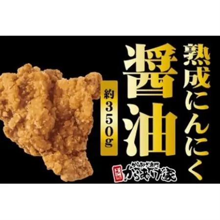 秘伝の熟成醤油からあげ　700g　(350g×2p)_肉 唐揚げ 鶏肉 からあげ カラアゲ_【配送不可地域：離島・沖縄県】【1572790】