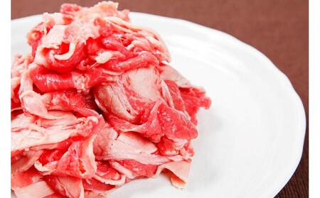 【定期便全2回】博多和牛A4ランク以上切り落とし　訳あり!　500g